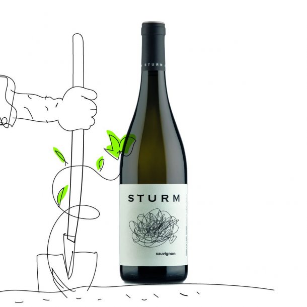 STURM, Sauvignon Blanc BIO 2020