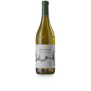 Livia Fontana, Roero Arneis, 2021