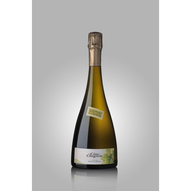 William Saintot La Cote de Chignon 2013