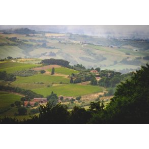 Toscana-smagekasse